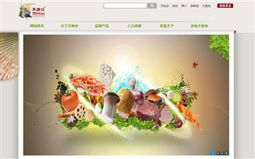 自貢黑羽網(wǎng)絡網(wǎng)頁制作案例-廣東天地會